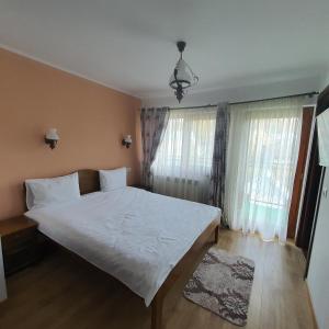 BălţăteştiにあるCasa Sofiaのギャラリーの写真