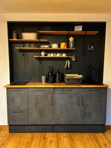 a kitchen with a counter top and a shelf at RÖSCH Apartment in Weimar