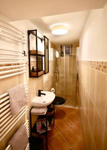 a bathroom with a sink and a shower at RÖSCH Apartment in Weimar
