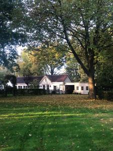 uma casa branca com uma árvore no quintal em TimeOut-Breda em Breda