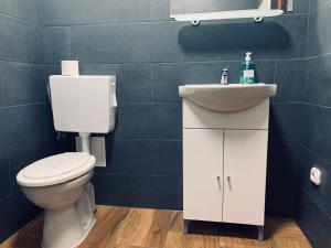 a bathroom with a toilet and a sink at Williams Village Bowling & Country Club in Budapest