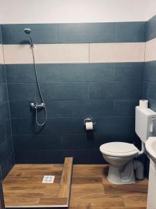 ブダペストにあるウィリアムズ ビレッジ ボウリング＆カントリー クラブのバスルーム(トイレ、シャワー付)