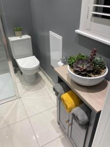 - une salle de bains avec des toilettes et un bol de plantes sur un comptoir dans l'établissement Me Old Abode Entire Garden Cabin near the Sea, à Kent