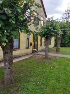 two trees in front of a yellow building at Viesu māja Stadula in Skrunda