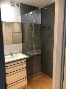 a bathroom with a shower and a sink at Apartament Centrum Malbork in Malbork