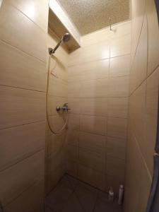 a shower with a shower head in a bathroom at Дом с удобствами in Cherkasy