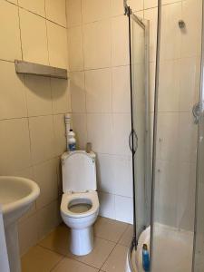 a small bathroom with a toilet and a shower at 1 Bedroom Flat - Milligan Road Leicester in Leicester