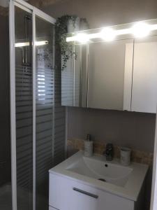 een badkamer met een witte wastafel en een douche bij Joli studio centre-ville Draguignan in Draguignan