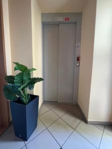 a plant is sitting in front of a elevator at Penzion Greenstar in Ústí nad Labem