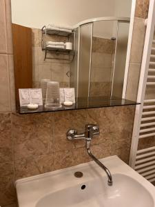 a bathroom with a sink and a glass counter top at Penzion Greenstar in Ústí nad Labem