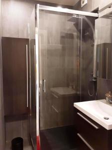 een badkamer met een douche en een wastafel bij 2 bedrooms appartement with city view balcony and wifi at Knokke Heist in Zeebrugge