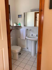 Ένα μπάνιο στο Davmar House Blarney