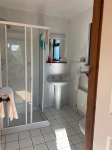 a bathroom with a shower and a sink at Davmar House in Cork