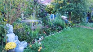 Atelier & Gardenhouse Glamping外面的花园