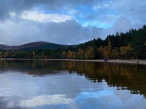 Vue sur un lac avec des arbres en arrière-plan dans l'établissement Ardenbeg, à Grantown-on-Spey