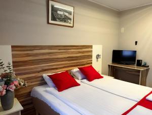 a bedroom with two beds with red pillows and a tv at Arkadia Hotel & Hostel in Helsinki
