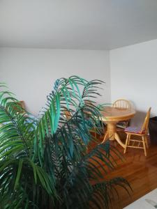 a dining room with a table and a plant at 320 Happy Home in Chicago