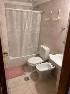 a bathroom with a toilet and a sink and a shower curtain at MENDOZA Suites 8 in Mendoza