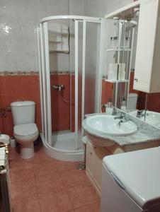 a bathroom with a shower and a toilet and a sink at Apartamentos la Escuela en Cantabria in Villegar