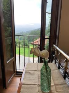 a vase sitting on a table in front of a window at 10B01 - Apartamento Villamuñin zona rural in Pravia