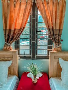 a bedroom with two beds and a table with a plant on it at Sơn Tùng Hostel in Cat Ba