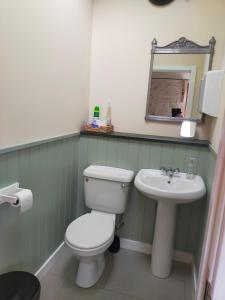 a bathroom with a toilet and a sink at Lucker mill shepherds huts in Lucker