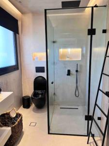 baño con ducha y puerta de cristal en Lagonisi 2 bedroom luxury Apartment by the sea!, en Lagonisi