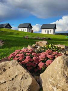 einen Steingarten mit rosa Blumen und Häusern im Hintergrund in der Unterkunft Jaśkowe Wzgórze domki na wynajem, balia, Szymbark DOMEK NR 1 in Szymbark