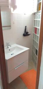 a bathroom with a white sink and a shower at Appartement d'une chambre avec terrasse amenagee et wifi a Le Robert in Le Robert