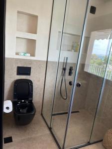 a bathroom with a toilet and a glass shower at Lagonisi Luxury appartment 2 by the sea in Lagonissi