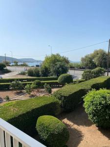 Příroda nedaleko apartmánu + 12 fotografií