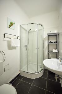 a bathroom with a shower and a toilet and a sink at Cosy & Charming In The City Centre in Vienna