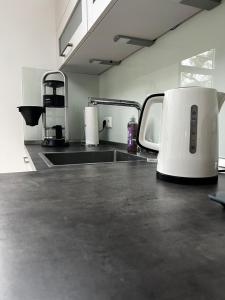 einem Toaster auf einer Küchentheke in der Unterkunft Gemütliches Haus zwischen Förde und Golfplatz in Heikendorf