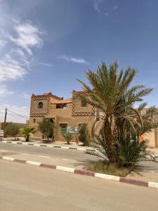 a palm tree on the side of a street at Riad Aicha & Camel Trekking in Merzouga