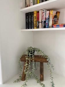 a book shelf with a wooden table with a plant on it at Little Limes an Adorable little Suffolk getaway with outside space near Woodbridge in Eyke