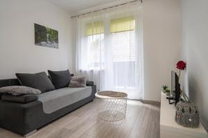 a living room with a couch and a window at Apartament Regina in Szklarska Poręba