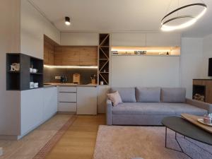 ein Wohnzimmer mit einem Sofa und einer Küche in der Unterkunft Vlašićka ruža Eko FIS 303 in Vlasic