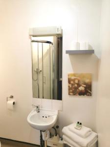 a bathroom with a sink and a mirror and a toilet at Lunan House in Arbroath