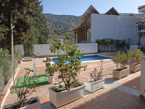 a group of potted plants in pots next to a pool at Apartamento Exclusivo - María 7 in Benaoján