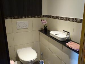 a bathroom with a toilet and a sink at Le Clos de la Déesse in La Ferté-Saint-Cyr