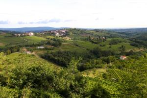 Paesaggio naturale nelle vicinanze dell'affittacamere