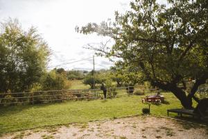 Un homme debout dans un champ à côté d'une clôture dans l'établissement Séjour pro & Famille - Gîtes meublés Wood Sky - WIFI Parking privé Terrasses & Jardin, à Laveyron