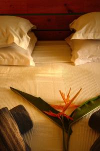une fleur assise sur un lit avec des oreillers dans l'établissement Studio Malacca et Malanga- Ô Cœur de Deshaies, à Deshaies