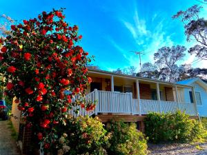 een huis met een grote bos van rode rozen bij Relaxing 3 bedroom house with 2 bathrooms. in Katoomba