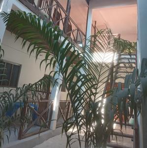 Fotografie z fotogalerie ubytování New Iddi Villa v destinaci Jambiani