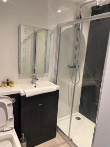 a bathroom with a shower and a sink and a toilet at Four Seasons Hotel in Aberystwyth