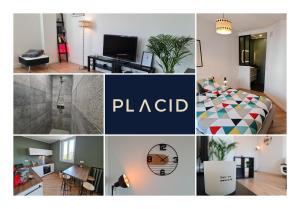 eine Collage mit Fotos von einem Schlafzimmer und einem Zimmer in der Unterkunft Le ScottmanHouse - Appartement privé - Centre ville - Gare - Wi-Fi in Arras