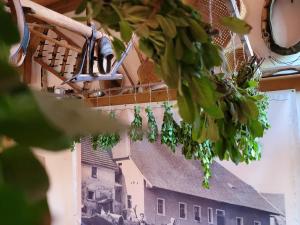 Fotografie z fotogalerie ubytování Landhotel Großeiberhof v destinaci Waldmünchen