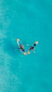 a butterfly kite flying in the blue sky at Bella Vista Resort Zanzibar in Kizimkazi