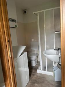 La salle de bains est pourvue de toilettes et d'un lavabo. dans l'établissement Ciasa Giulia, à Auronzo di Cadore